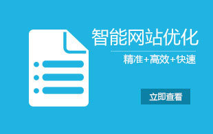 網(wǎng)站優(yōu)化